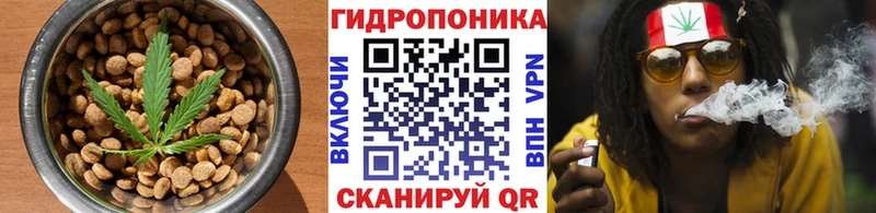 Canna-Cookies марихуана  Александровск 