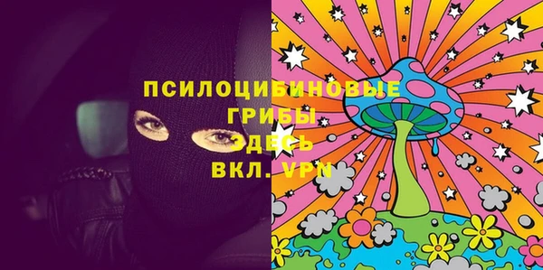 крисы Алзамай