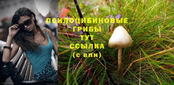 твердый Алексеевка